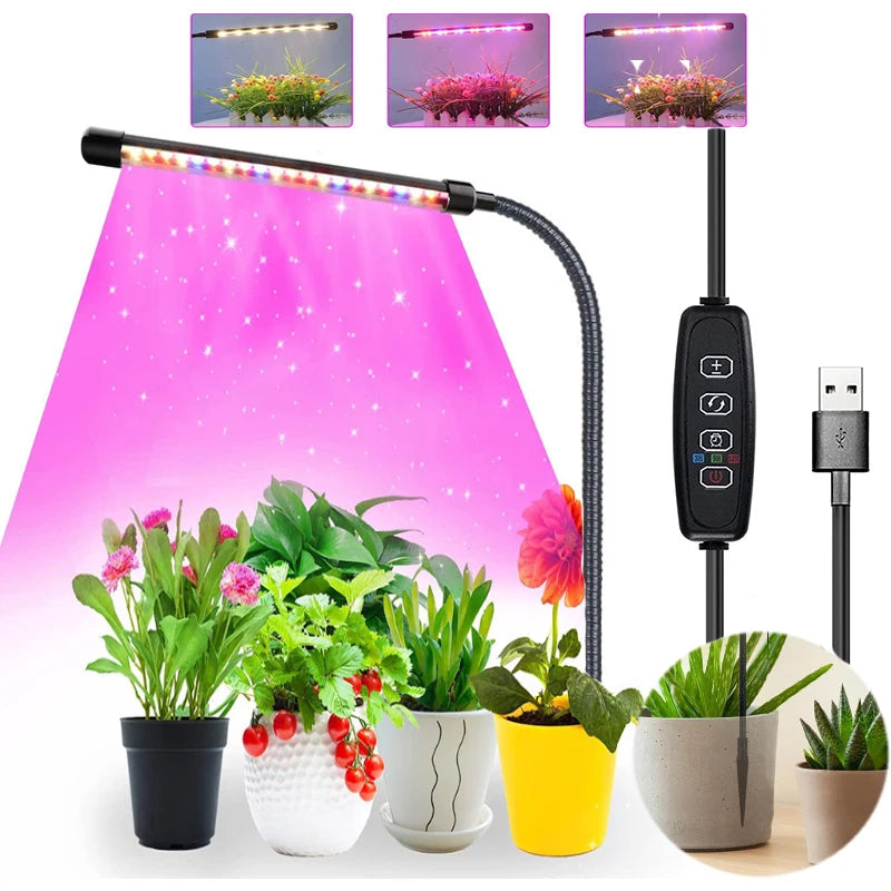 USB Gooseneck Plant Lamp, Timer and Pack Options