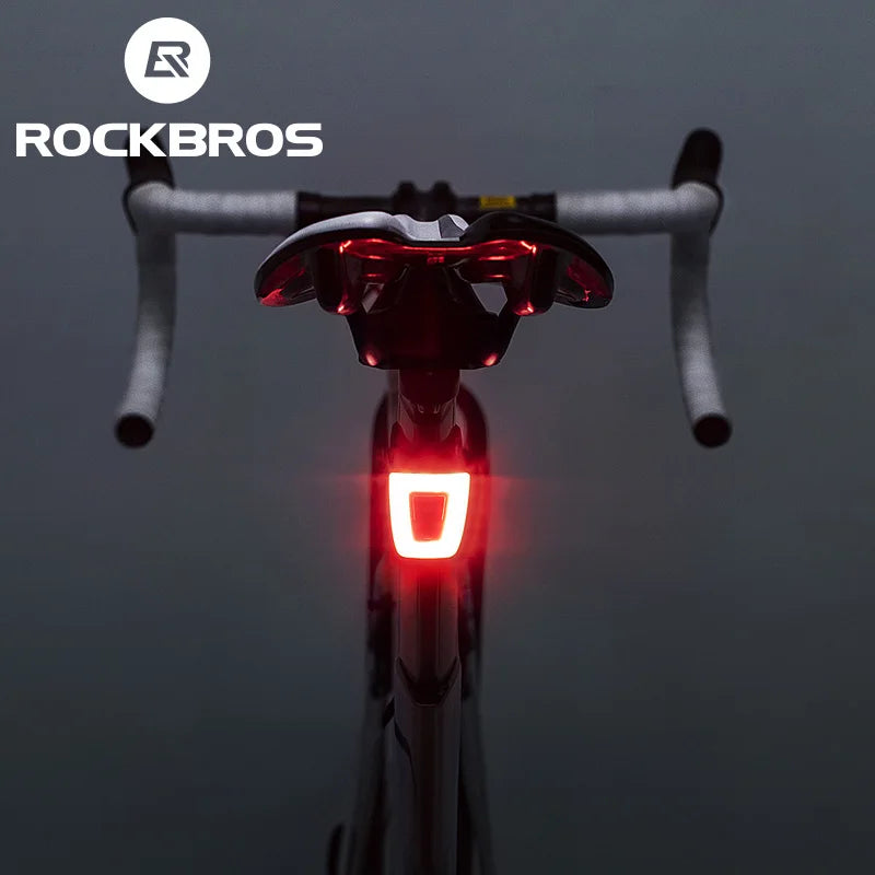USB Rechargeable Bike Tail Light with 9 Modes Waterproof LED