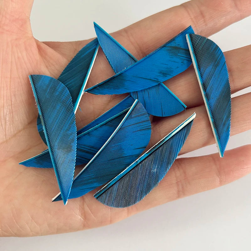50 Plumillas de pluma de pavo de alas derechas — 2 pulgadas