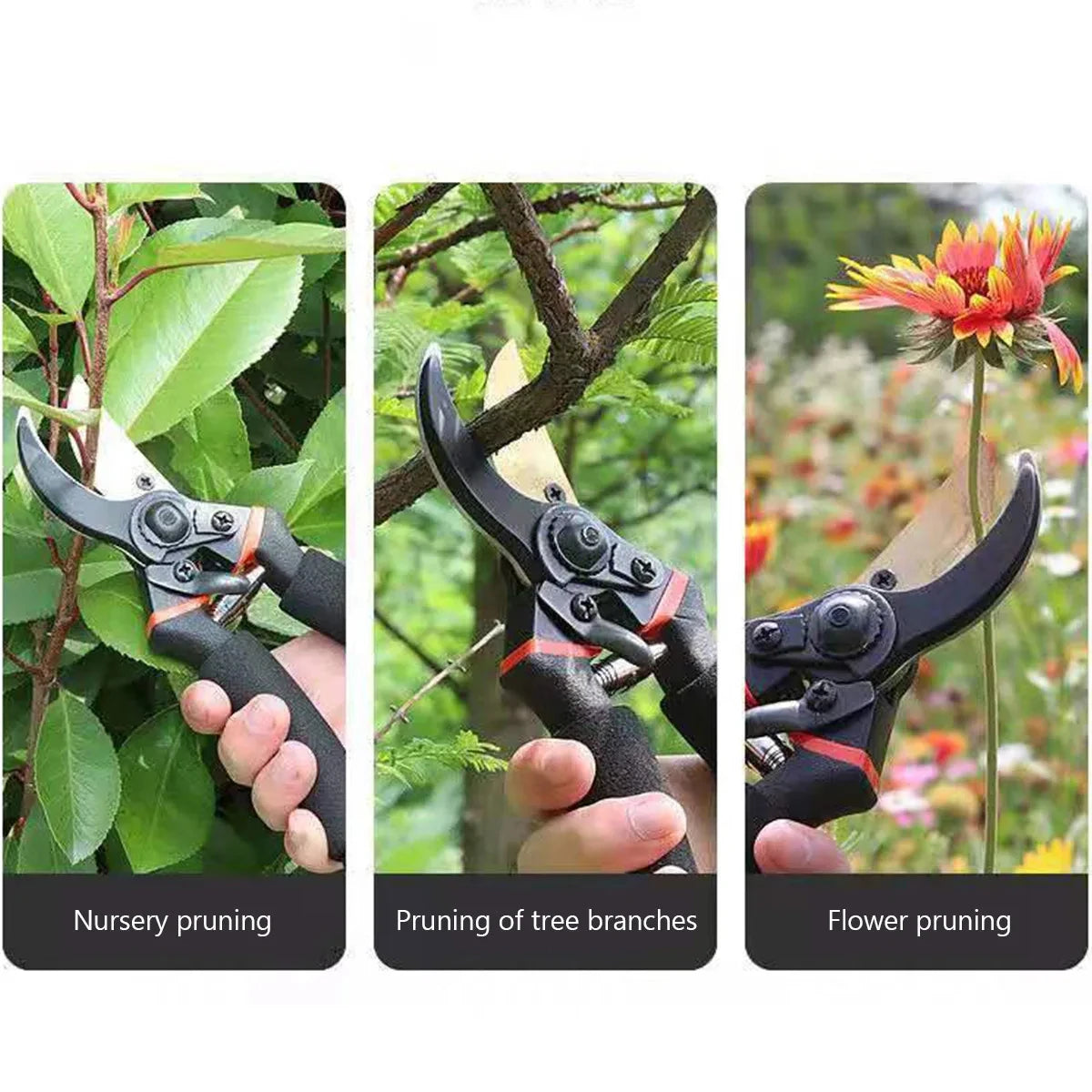 21.5 cm Garden Pruning Shears