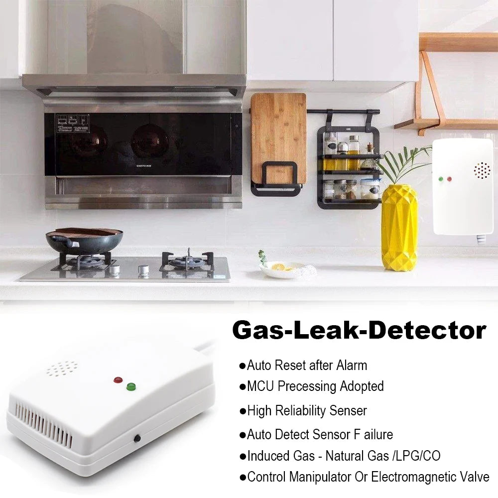 Gas Detector and Carbon Monoxide Alarm for Home Safety
