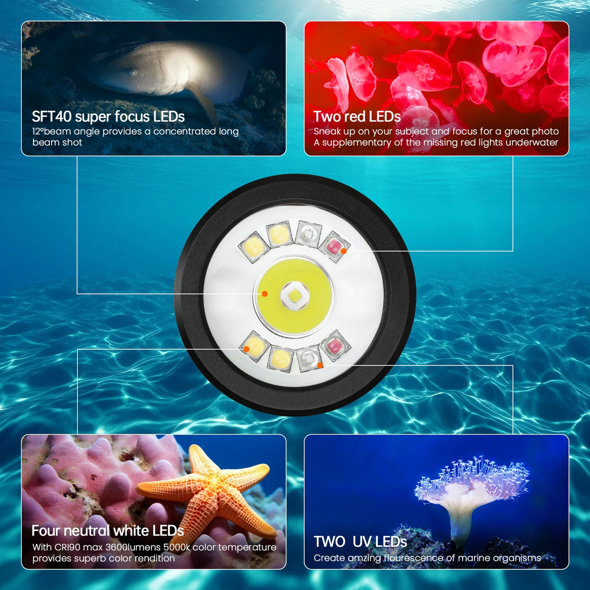 DL08 Rechargeable Dive Light with Red and UV Modes