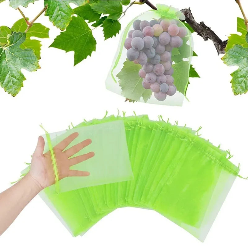 Green Fruit Protection Mesh Bags, 50 Pack, 20 × 30 cm