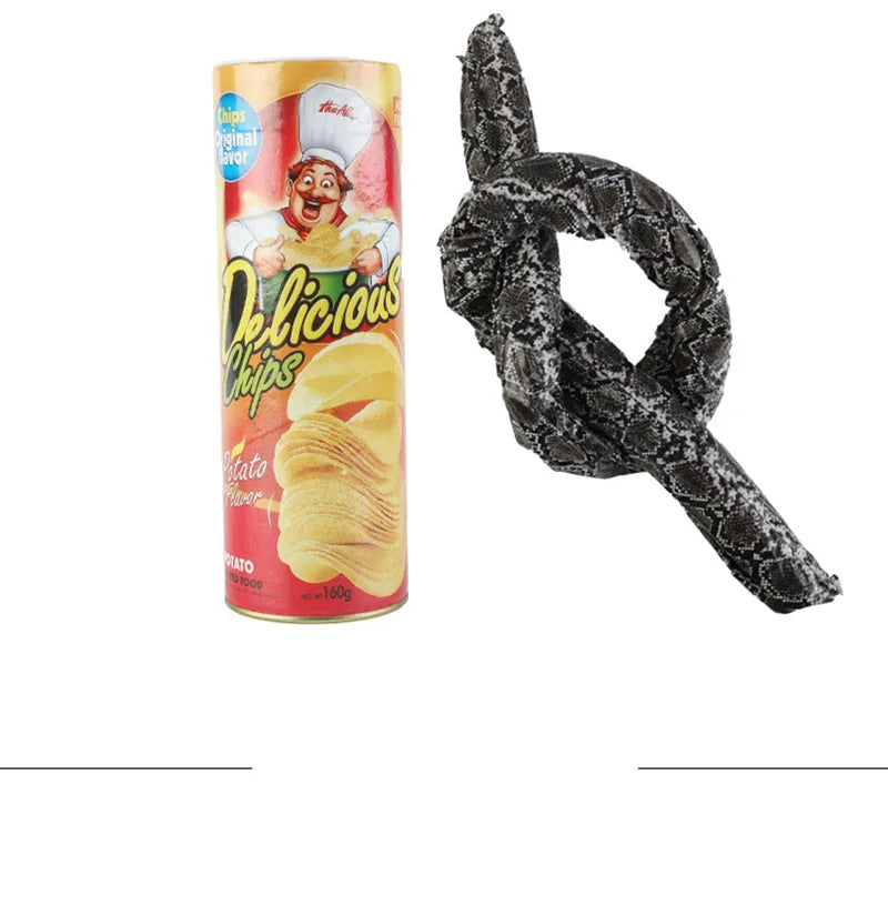 Prank Snake Toy in Potato Chip Can 🐍 