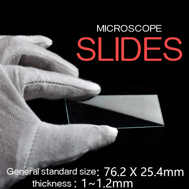 50 Frosted-End Blank Microscope Glass Slides