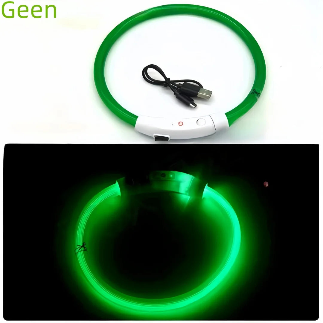 Collar de mascota con LED recargable por USB