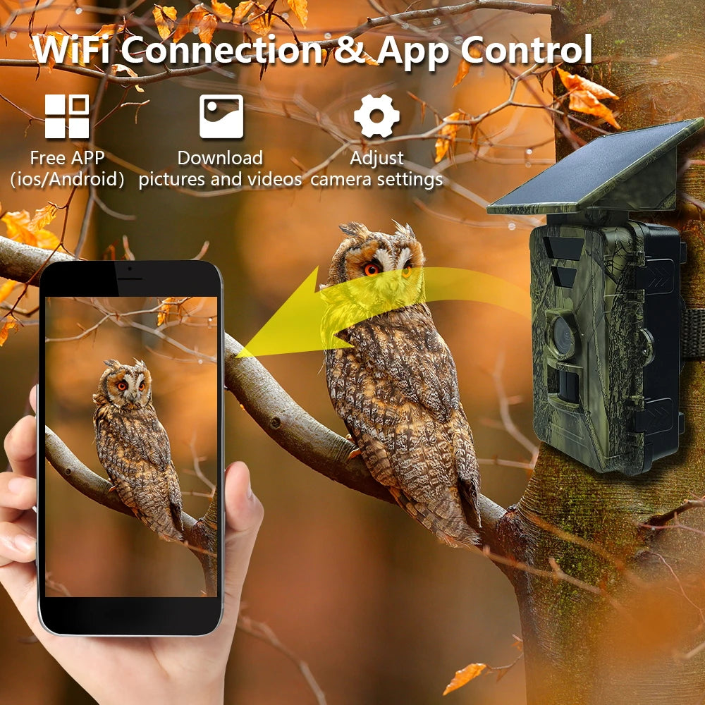Solar Powered Trail Camera with 8K Video and 60MP Photos