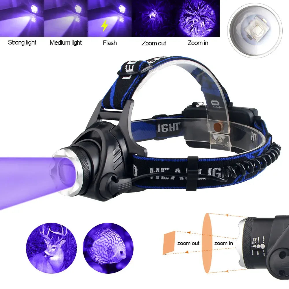Zoomable Headlamp, Red/Green/395nm UV Options
