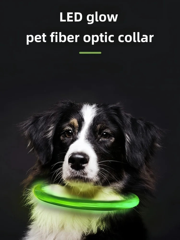 Collar de mascota con LED recargable por USB