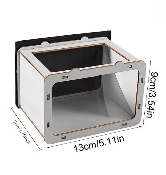 Smartphone 3D Reflection Display for Physics Projects