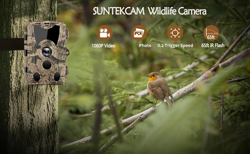 20MP 1080P Trail Camera with Night Vision and IP66 Waterproof