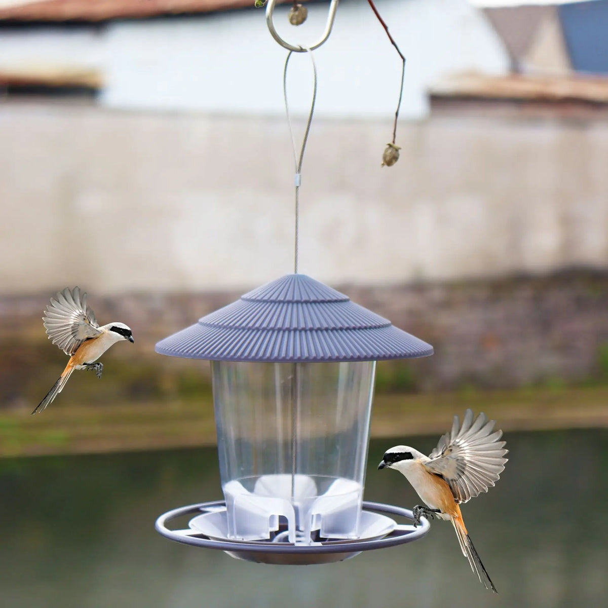 Hanging Garden Bird Feeder with Clear Hopper and Roof