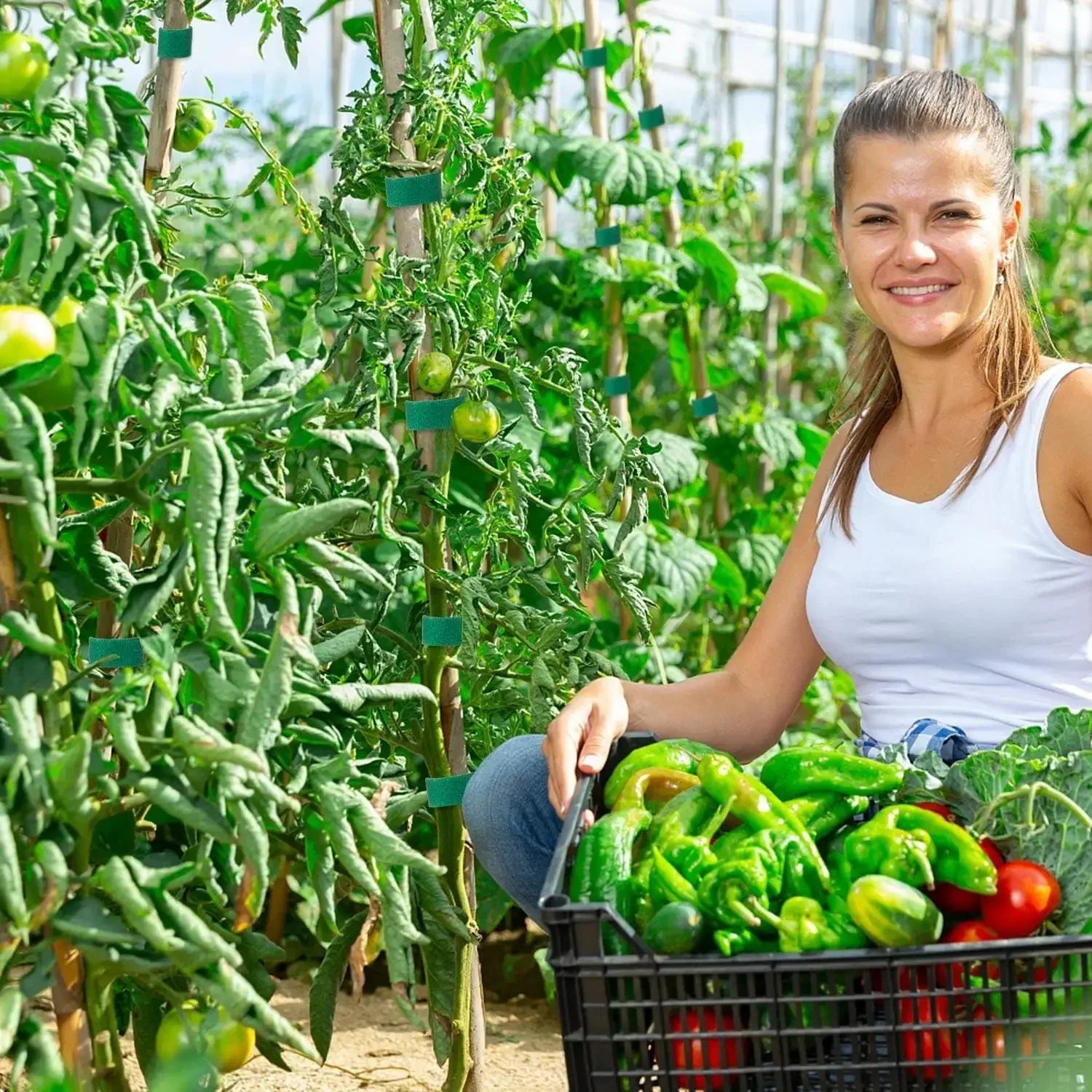 20/2M Nylon Plant Ties Plant Bandage Hook Tie Loop Adjustable Plant Support Reusable Fastener Tape for Home Garden Accessories 