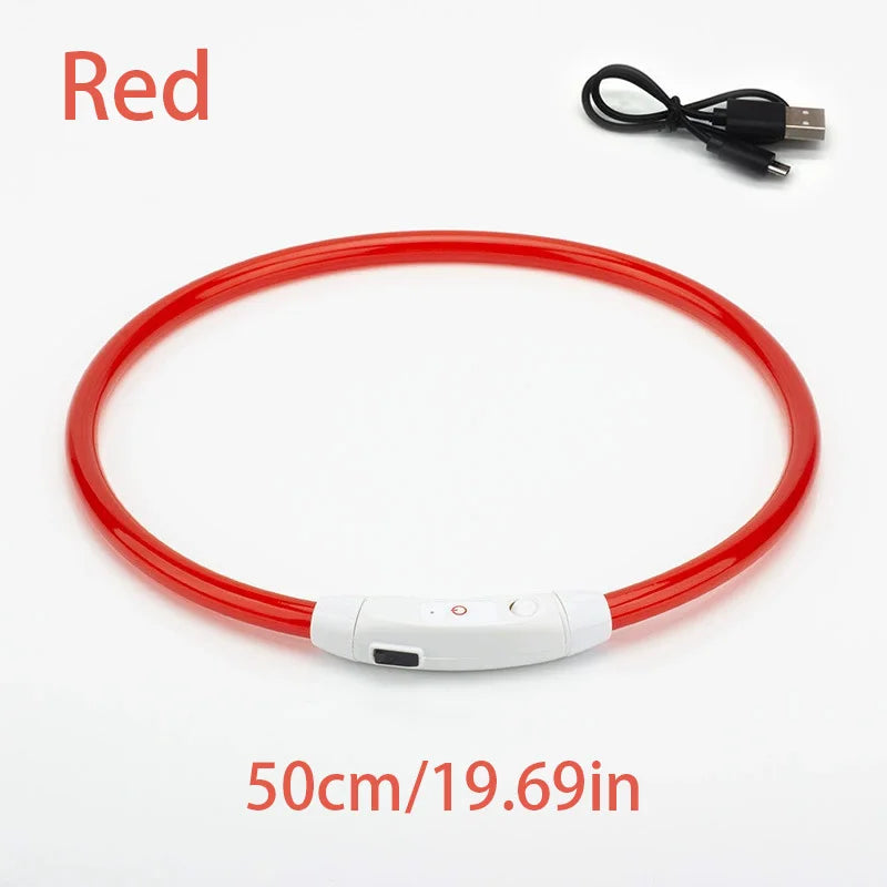 Collar de mascota con LED recargable por USB