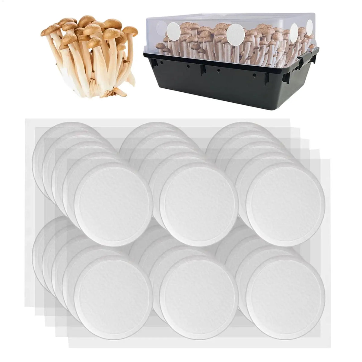 Adhesive Mushroom Growing Filter Patches, 30 Pieces