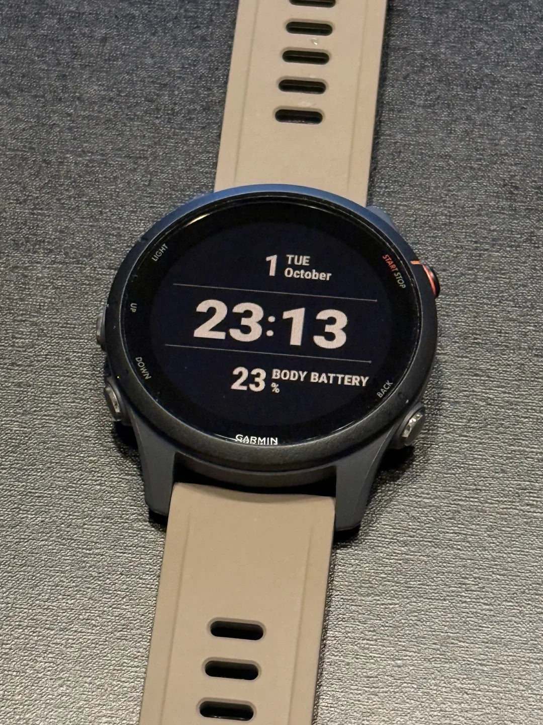 Garmin Forerunner 255 Sports Smartwatch