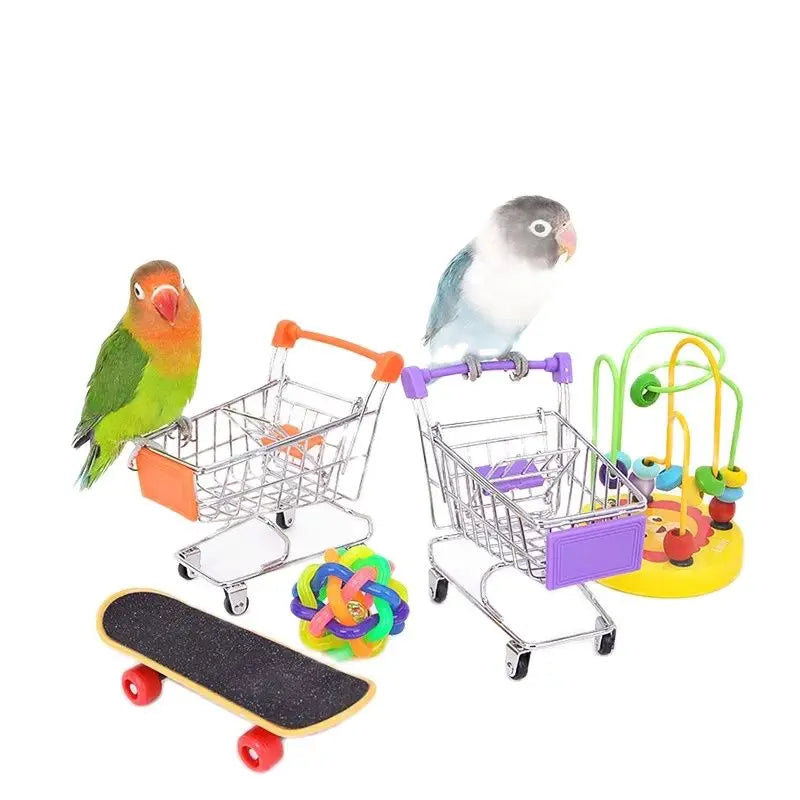 Bird Activity & Training Toy Options