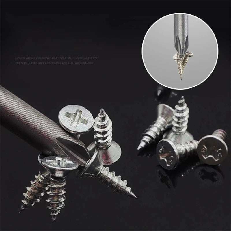Ten-Piece 100mm Magnetic Slotted and Phillips Bit Set