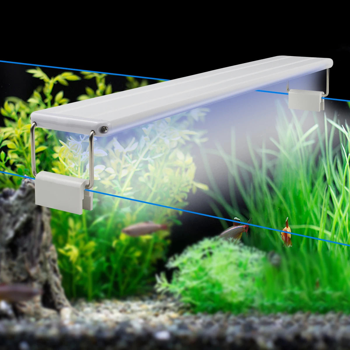 High Brightness White + Blue Aquarium Light 18-48cm EU Plug Waterproof Fish Tank Light For Plant Aquarium Box Decor Lighting