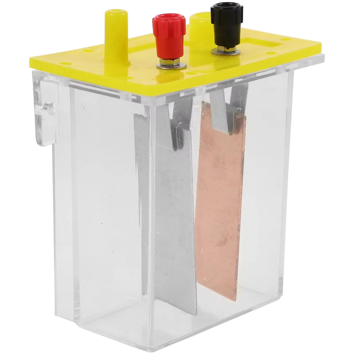 Frukt- og saltvannsbattericell-eksperimentboks