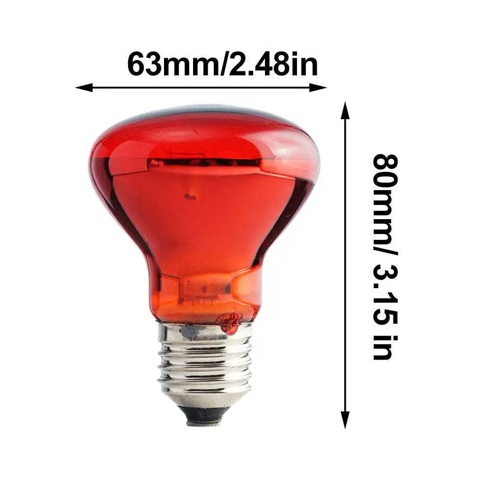 E27 Reptile Heat Bulb, 25–100W Options