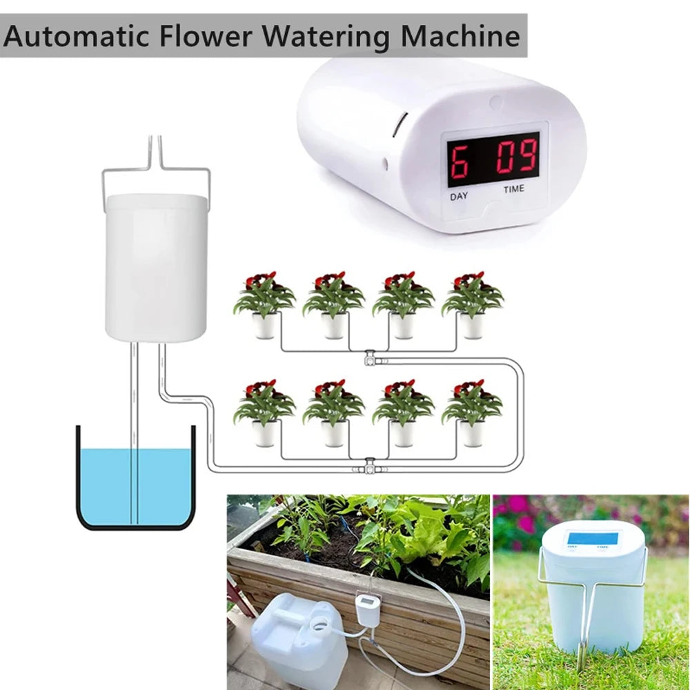 Pompa Automatica per Irrigazione Piante con Timer