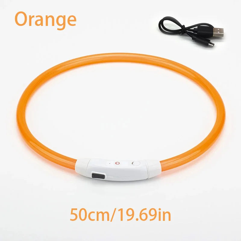 Collar de mascota con LED recargable por USB