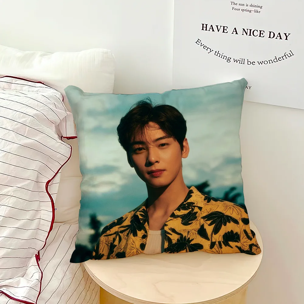 Cha Eun Woo Cushion Cover, Square Printed Pillow Case 30-70 cm