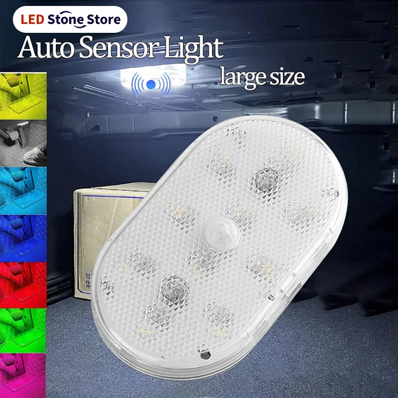 USB Rechargeable Sensor Light with Trigger Options