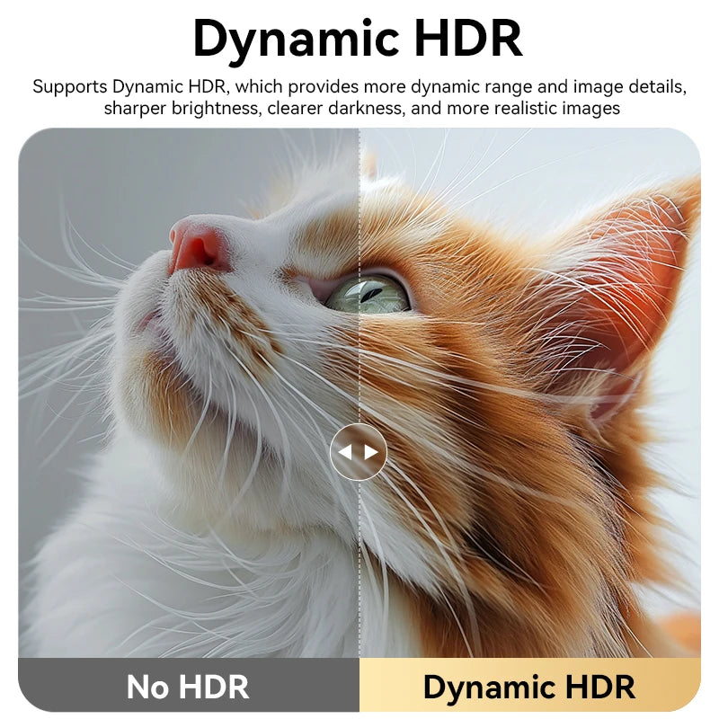 USB-C and DisplayPort Video Cable, Multiple Versions