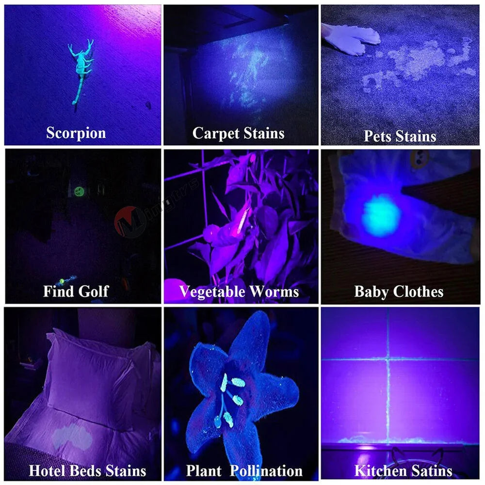 365nm Rechargeable UV Flashlight - Battery Options