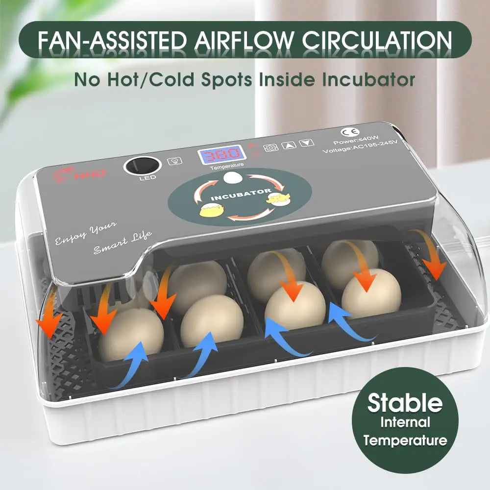 12 Egg Incubator with Auto Turning, Temperature Control & Candler