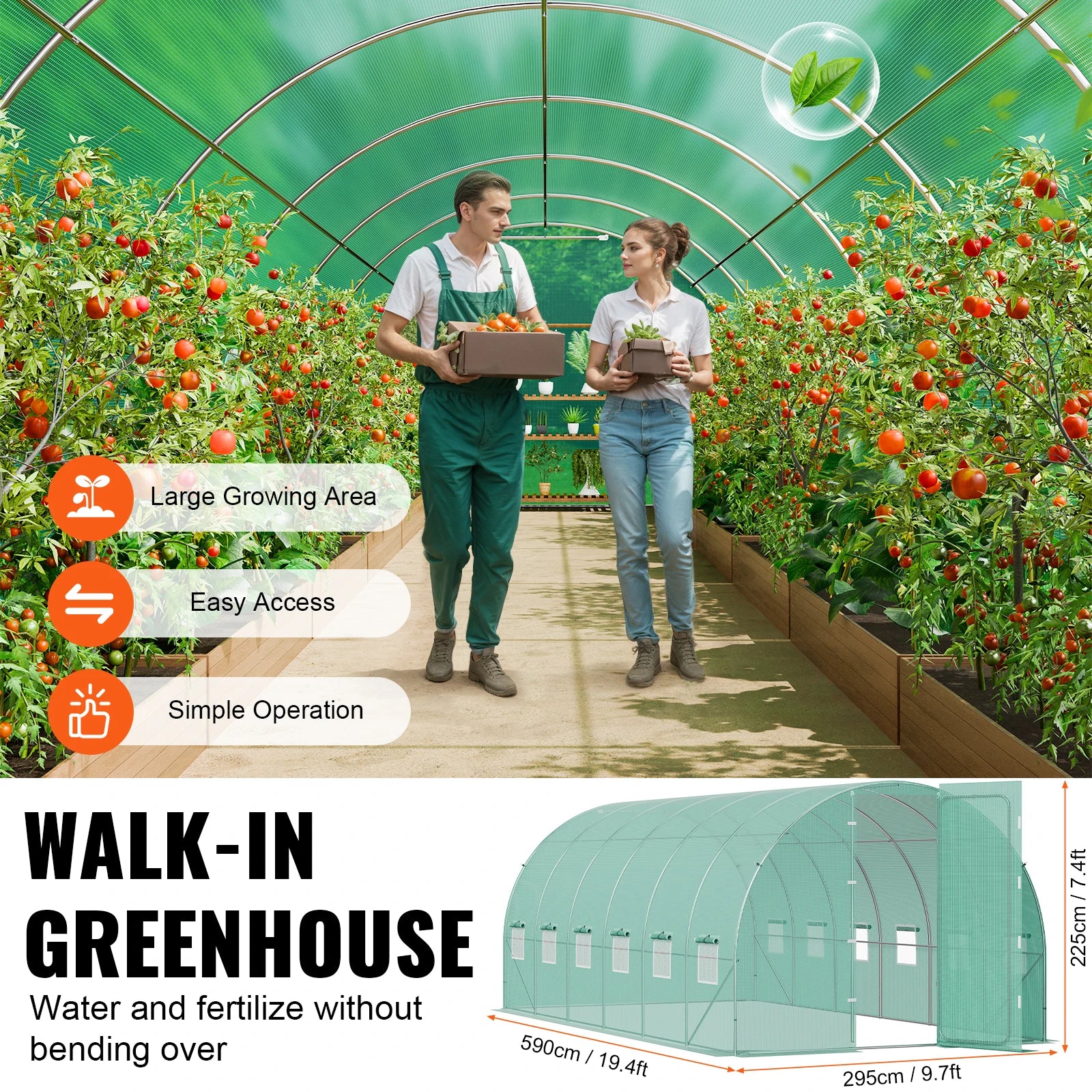 SucceBuy gångin tunnel växthus hoop house växthus tunnel växthus växthus med galvaniserad stålram svängd dörr för utomhusbruk