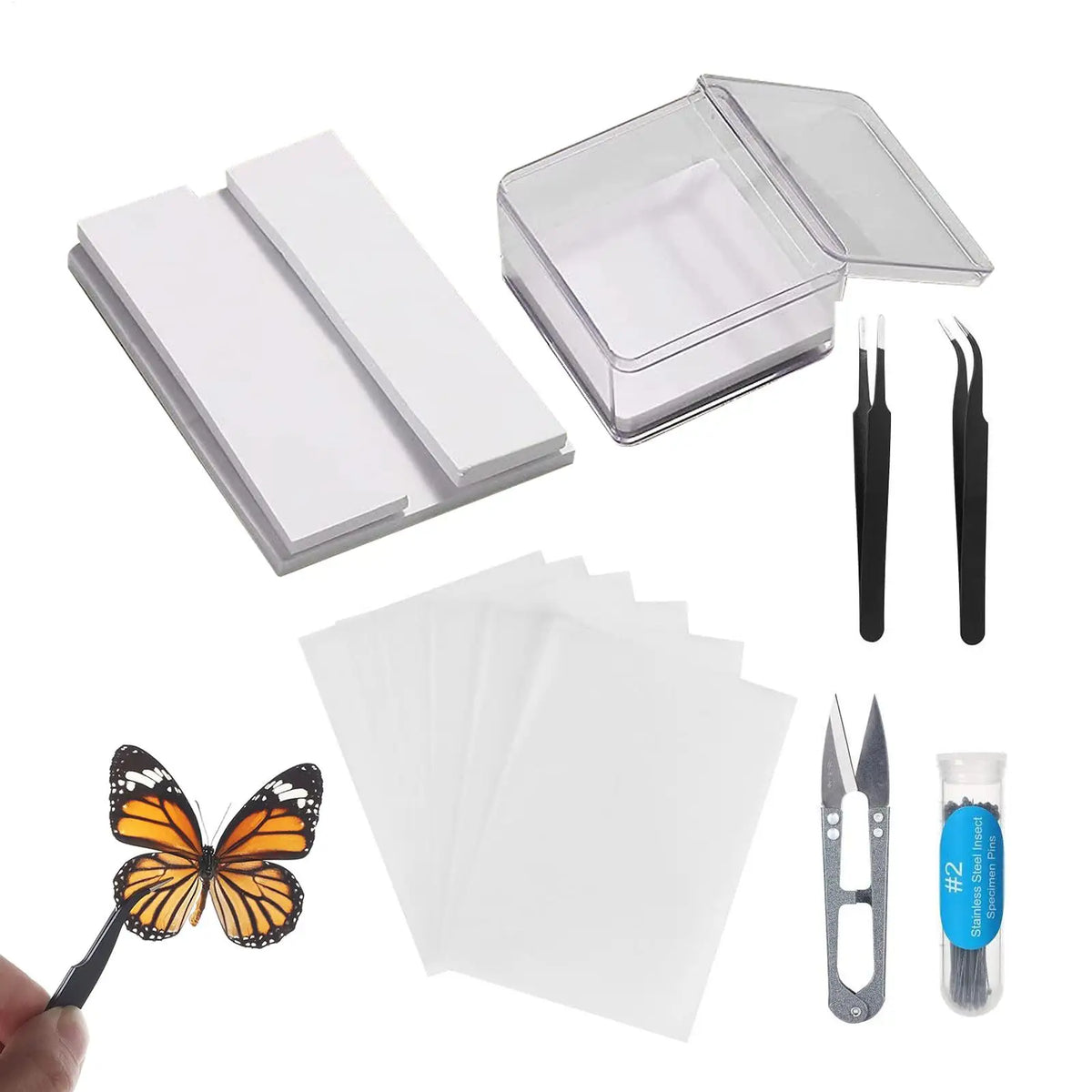 Butterfly Specimen Preparation Tool Kit