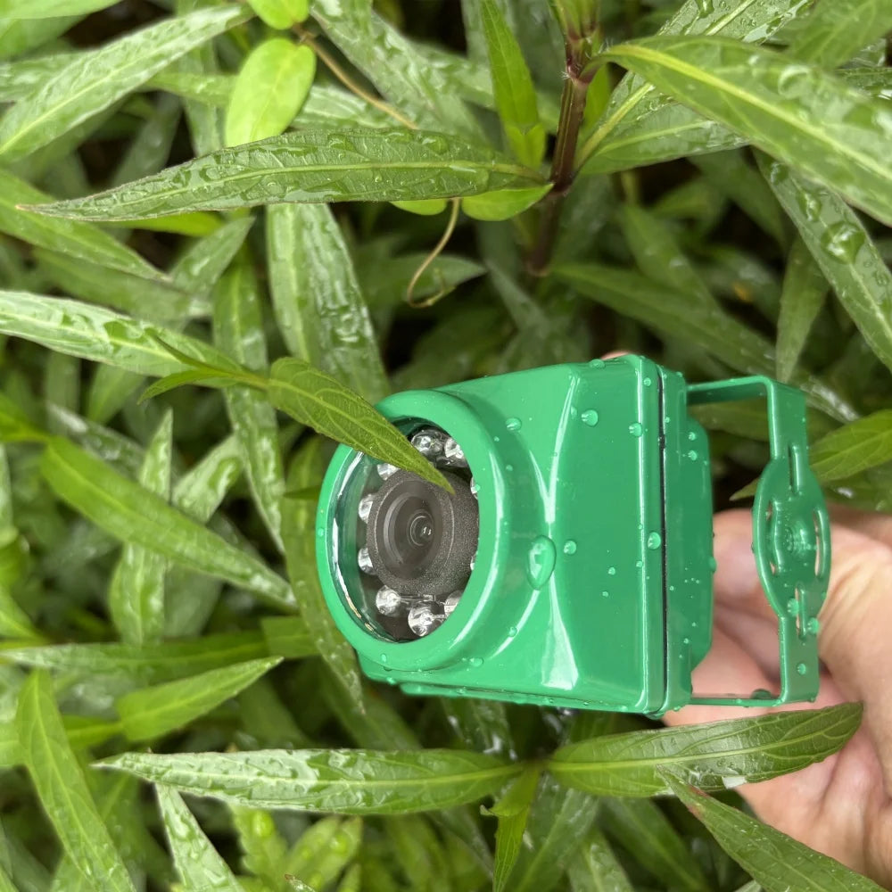 Mini WiFi Birdcage Camera with Night Vision