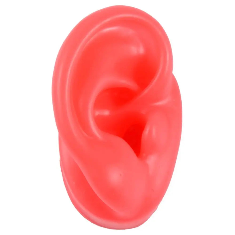 Silicone Ear Model for Teaching and Earring Display