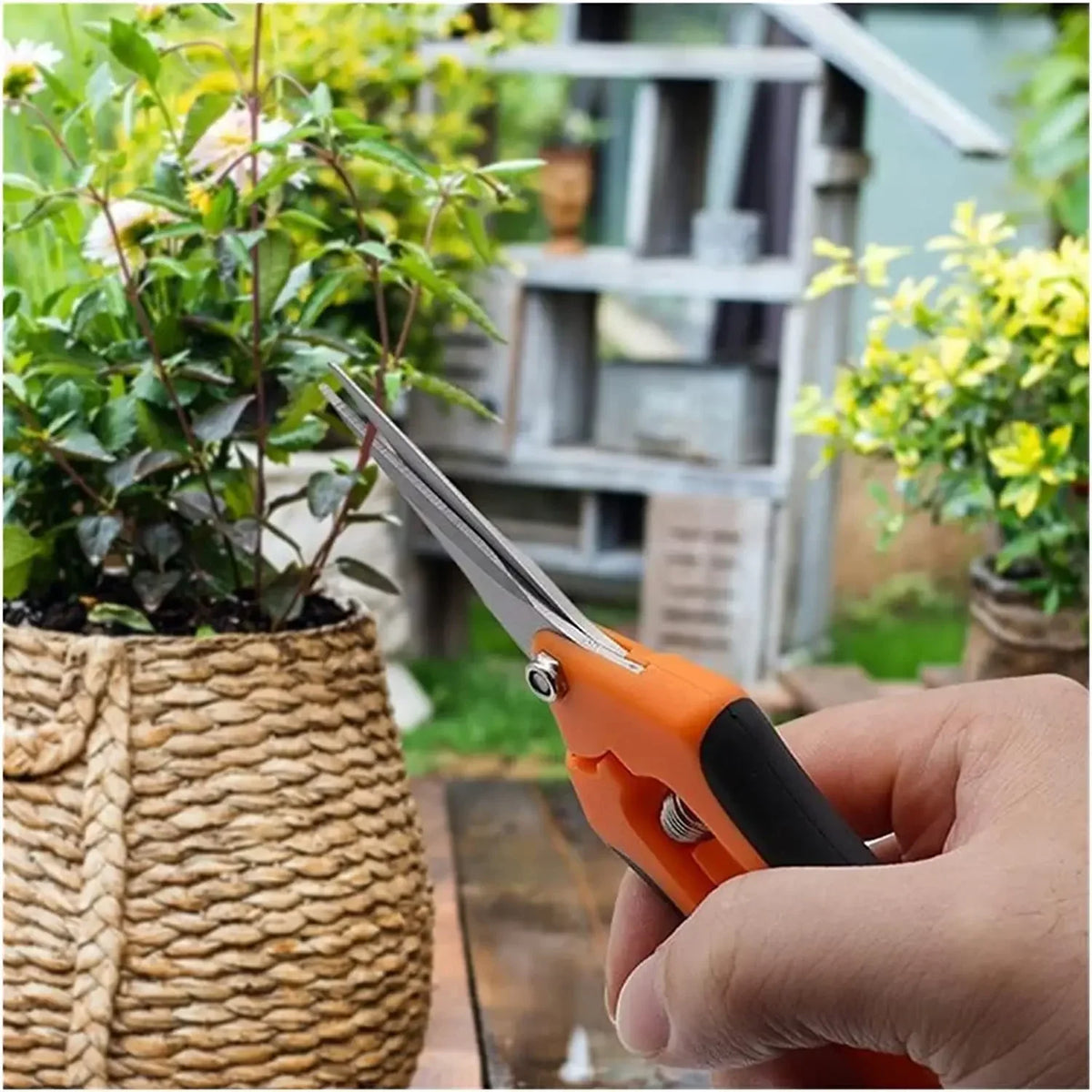 Small Garden Pruning Shears, Straight or Angled