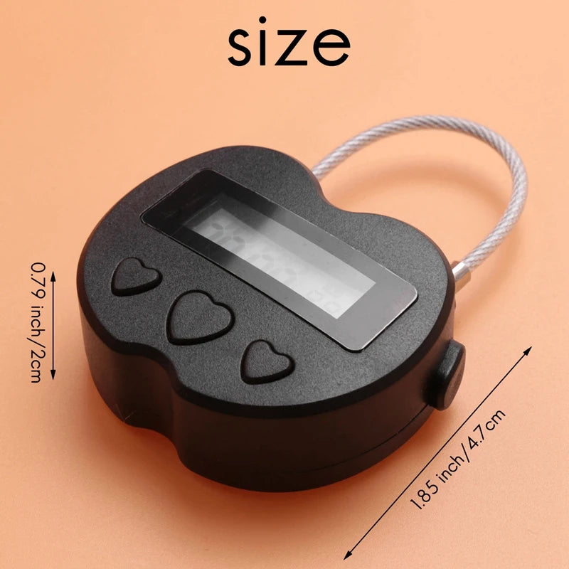Oplaadbare LCD Timer-kluis