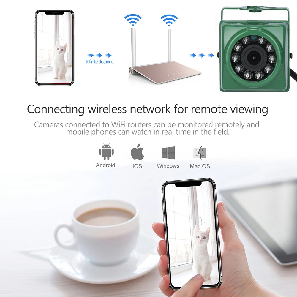 Mini WiFi Birdcage Camera with Night Vision