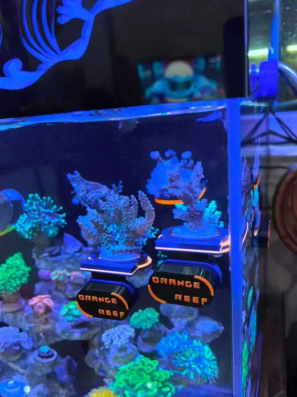 Magnetisk Coral Frag Holder — Fluorescerende Farver