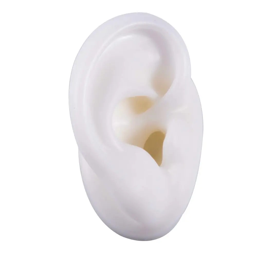 Silicone Ear Model for Teaching and Earring Display