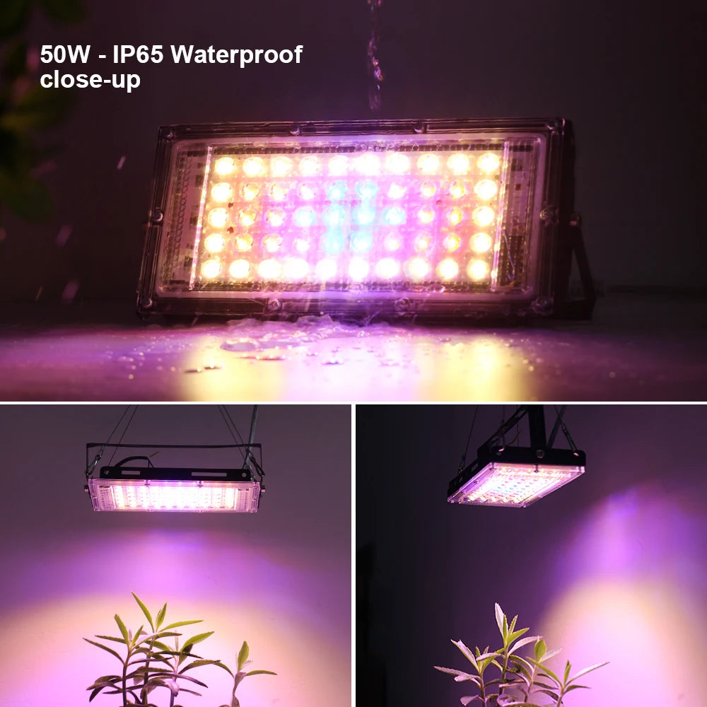 LED Plant Grow Floodlight, 50W, 100W or 150W Options