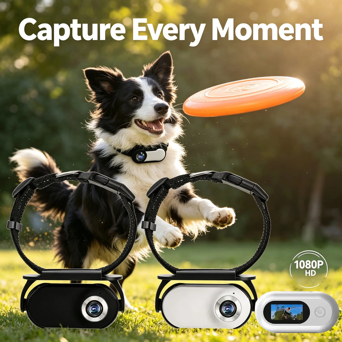 LA10 Pet Collar Camera - Colour Options