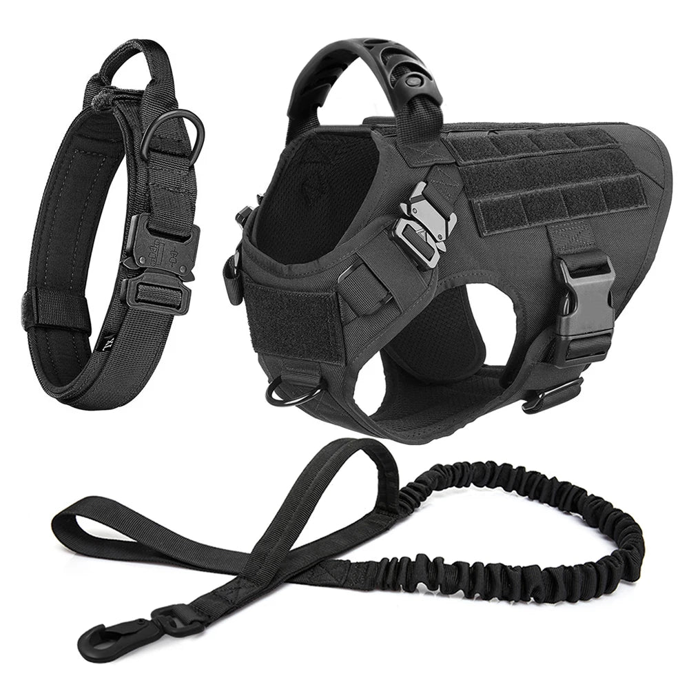 Large Dog Harness and Leash Set for Training and Walking