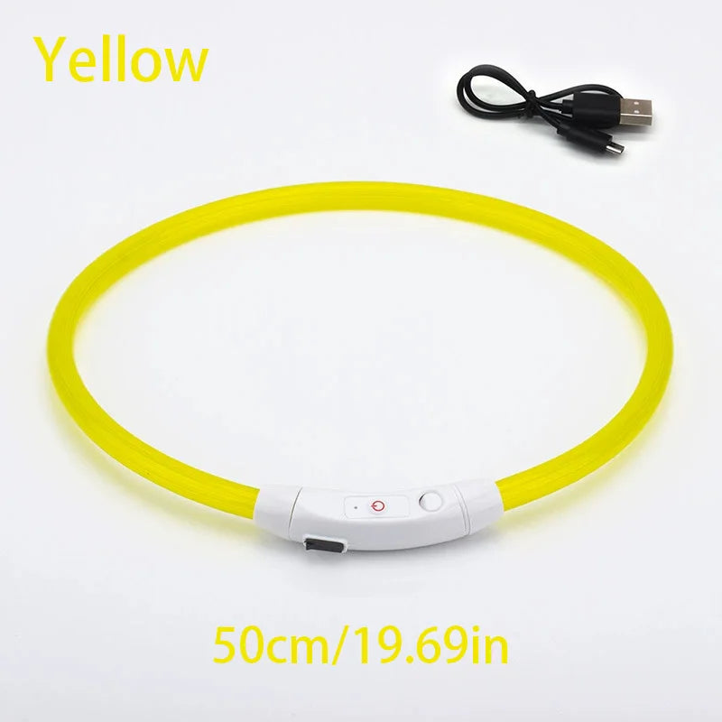 Collar de mascota con LED recargable por USB