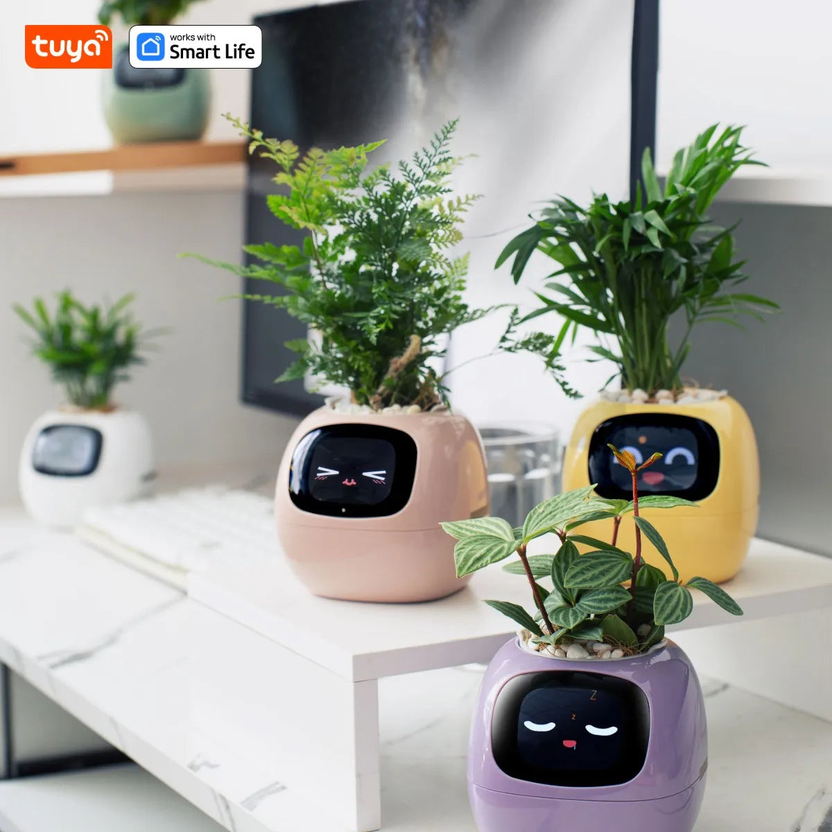 Pink Smart Planter with Expression Display