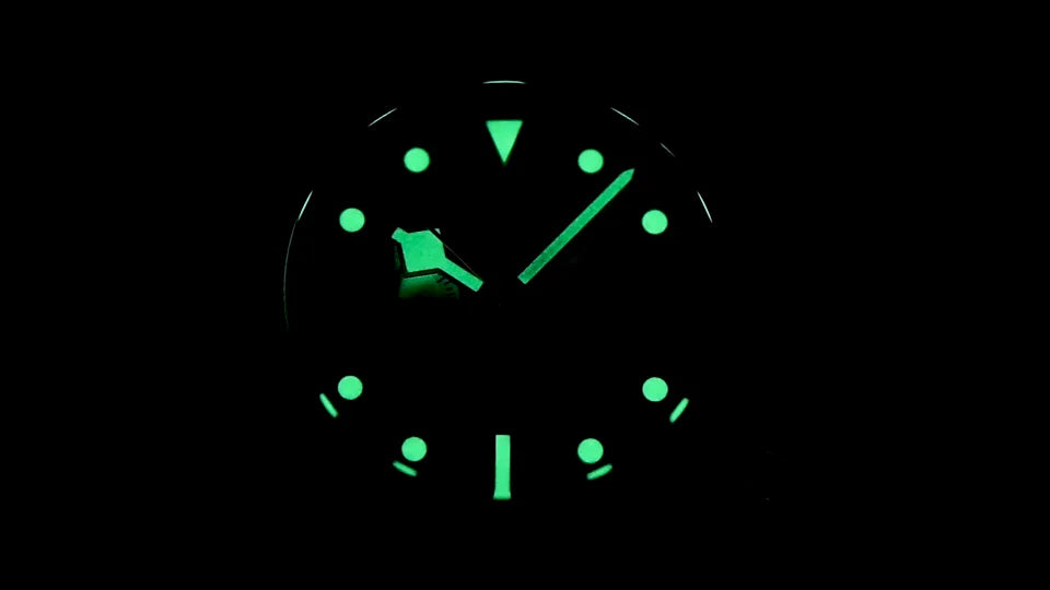 Pagani Design BB Panda Chronograph Men's Watch 100M Waterproof
