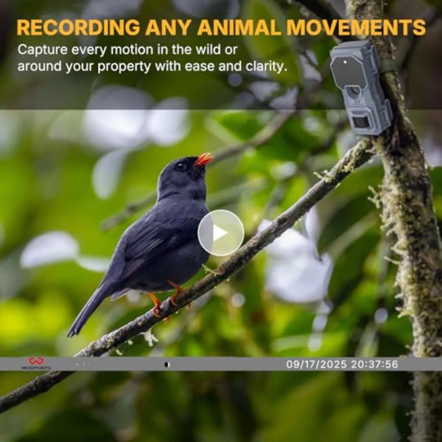Mini Trail Camera 6-Pack with 32MP and 1080P HD Video