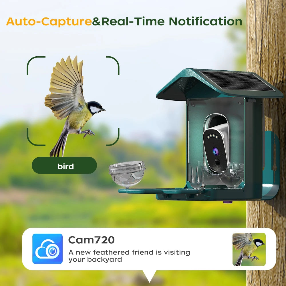 Solar Powered Bird Feeder Camera with 2K Night Vision