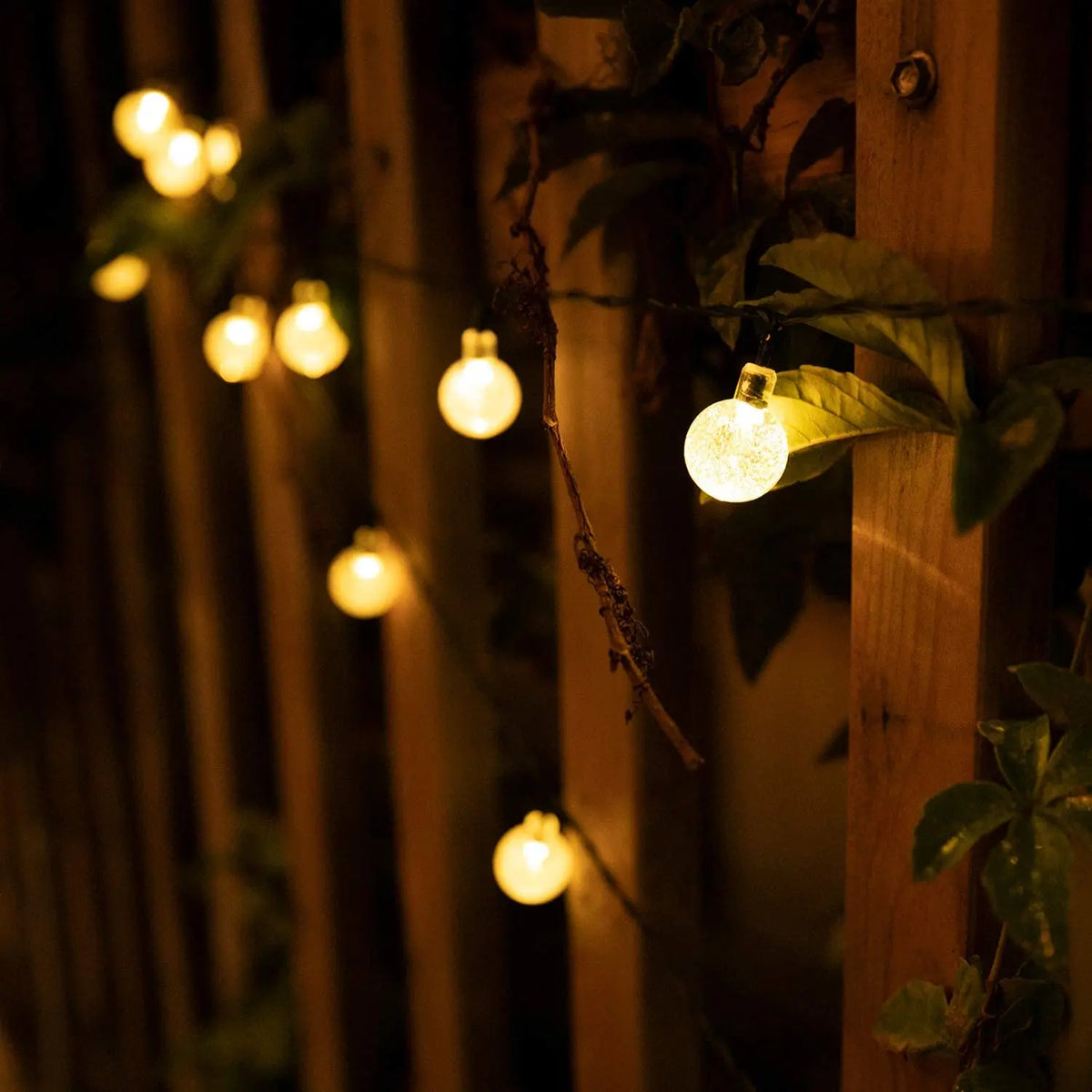 Solar Globe String Lights - Length and Colour Options